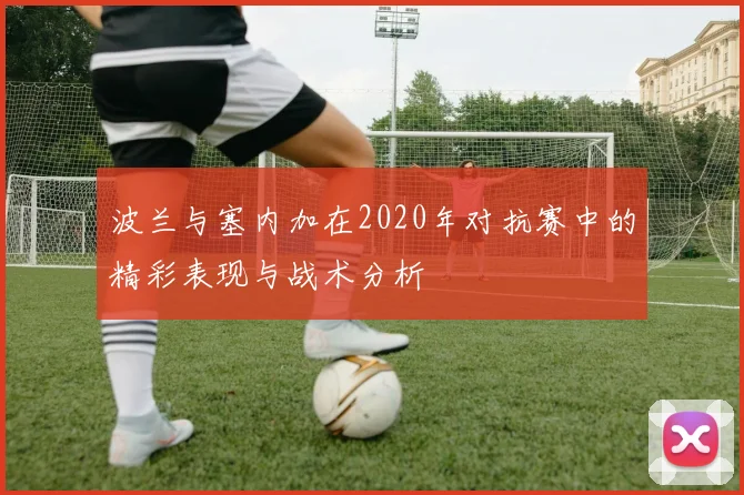 波兰与塞内加在2020年对抗赛中的精彩表现与战术分析